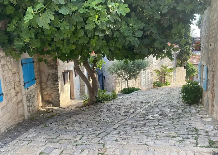 Tiny House Fuma Ρόβινι