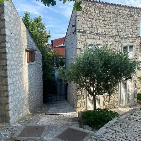 Tiny House Fuma Hébergement de vacances